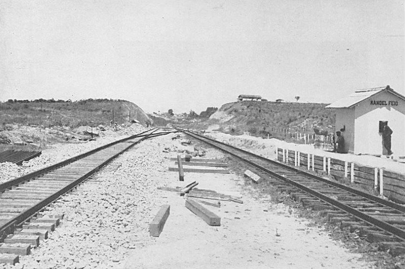 Noticia por-que-a-estacao-se-chama-manoel-feio